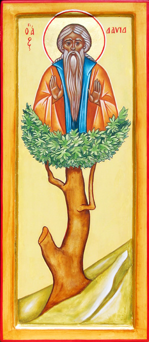 Sfântul Preacuvios David cel din Tesalonic, care s-a nevoit într-un copac (+ 540)